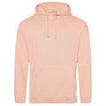 College hoodie